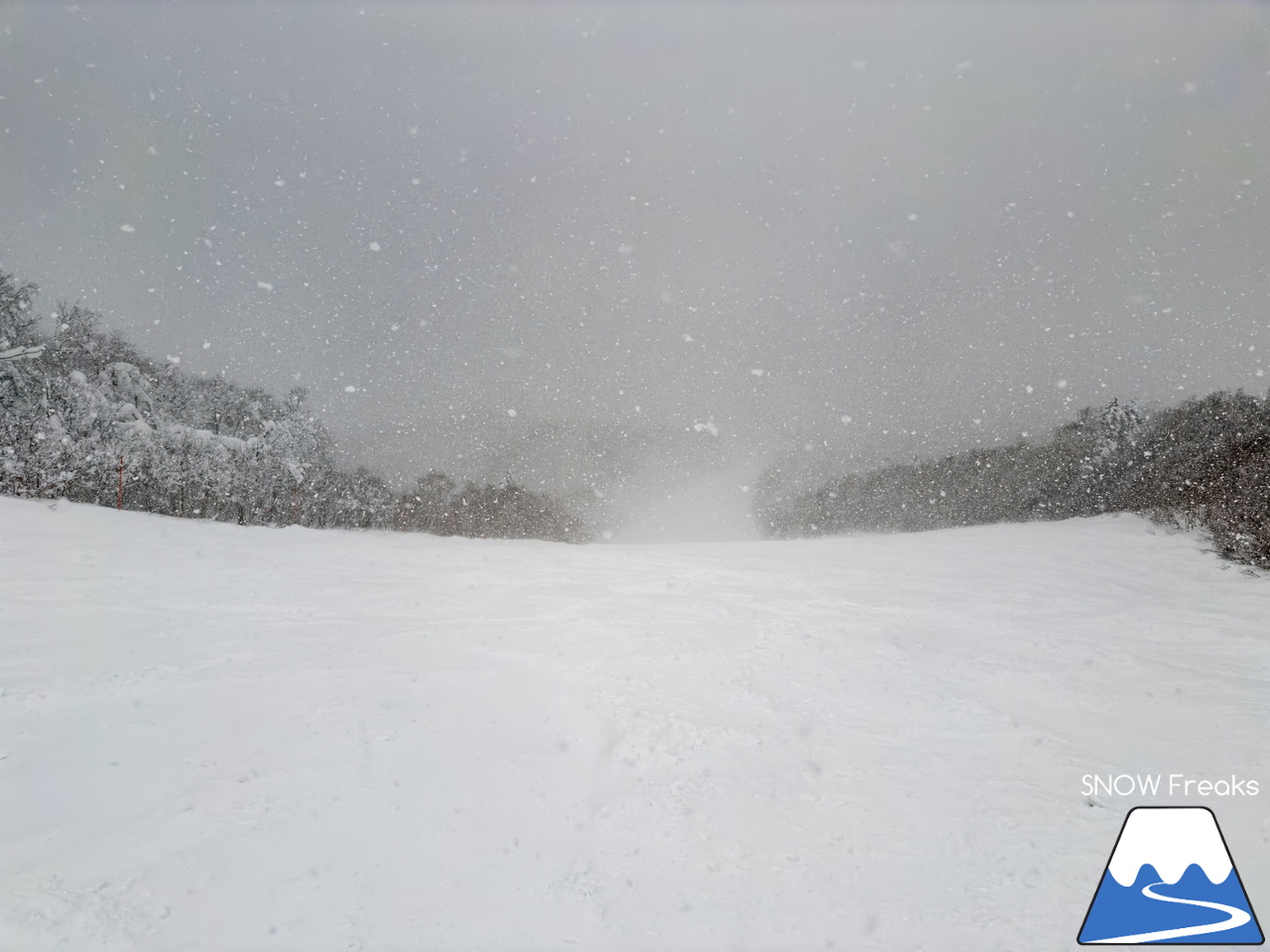 キロロリゾート｜北海道が世界に誇る、ふわっふわのパウダースノーシーズンがやって来ましたよ～♪